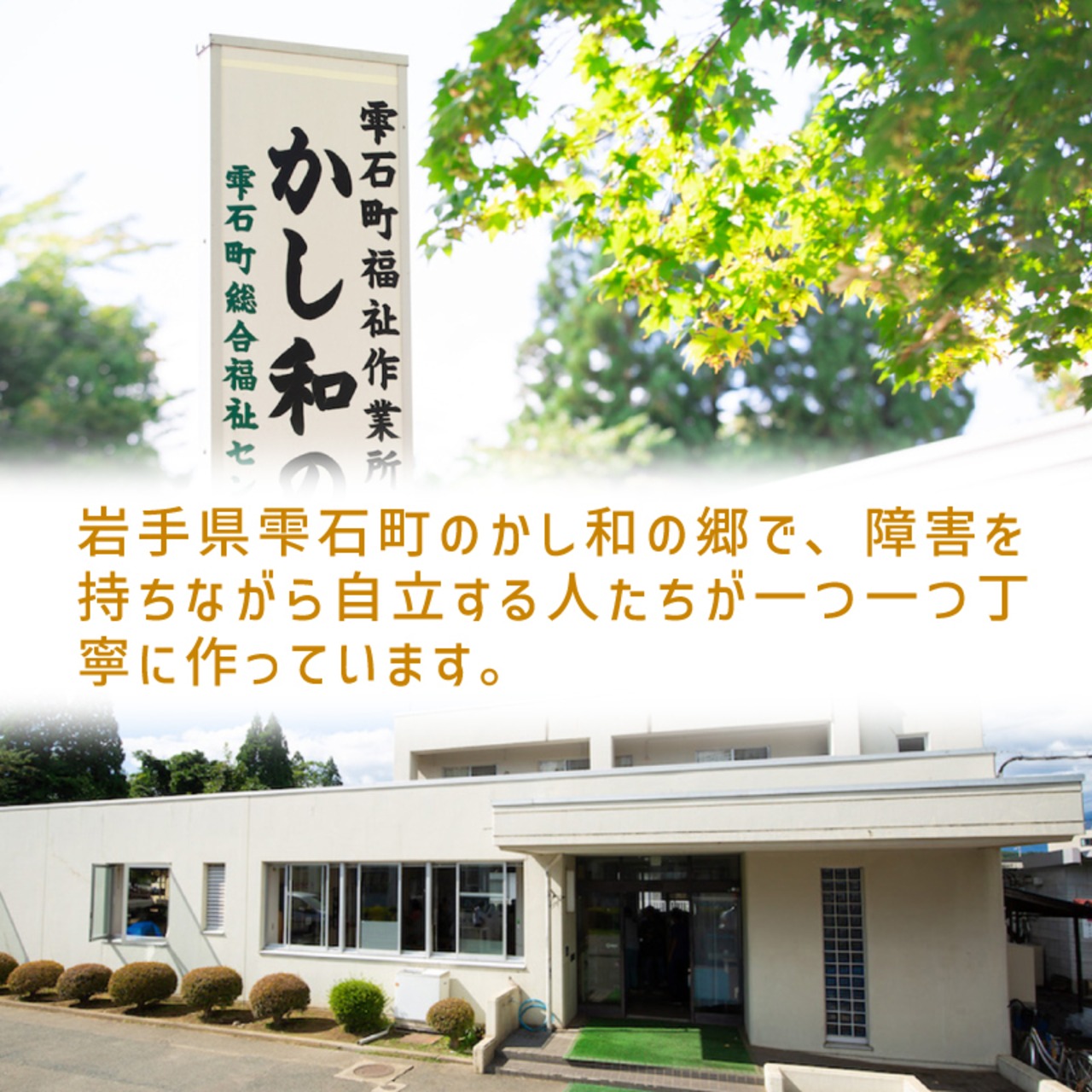 雫石町産 菜種油「菜の雫」450g｜障害を持つ仲間たちの丁寧な手仕事が生む、純粋でやさしい地元の恵み - 2