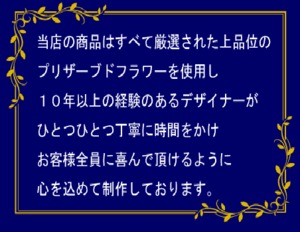 コピー：枯れないお花！赤バラ２本のプリザーブドフラワー ボックス入り 花言葉は「この世界は自分と貴方だけ」結婚２周年記念日や告白、プロポーズに最適！花言葉TAG無料