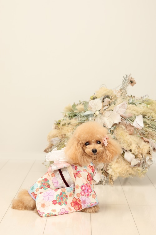 振り袖(雪輪・白梅)