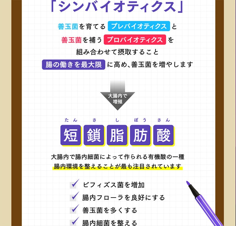 母の日ギフト【機能性表示食品】菊芋の極み 単品2袋