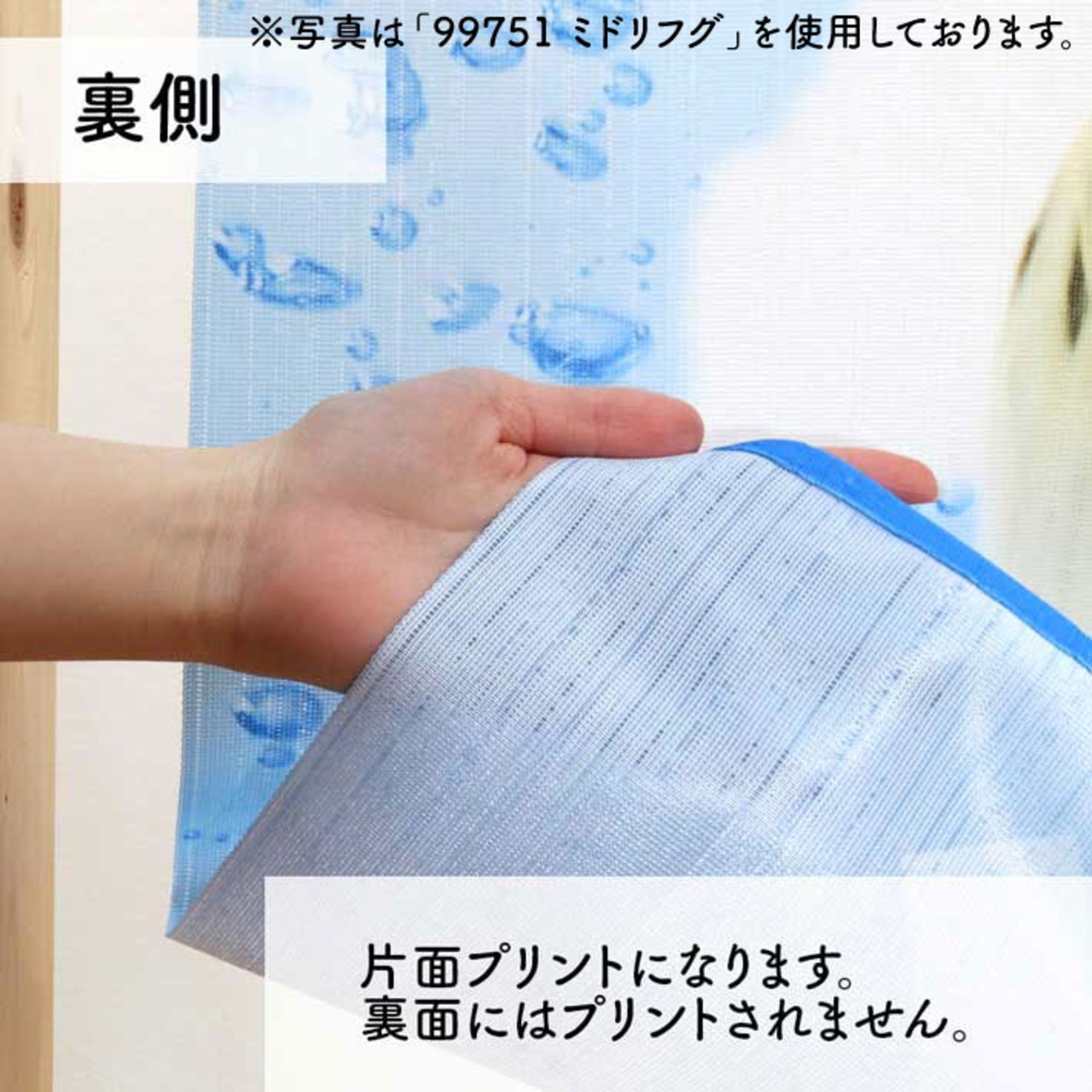 【受注生産】のれん うおづら  ニセモチノウオ 幅85ｘ丈90cm  99753