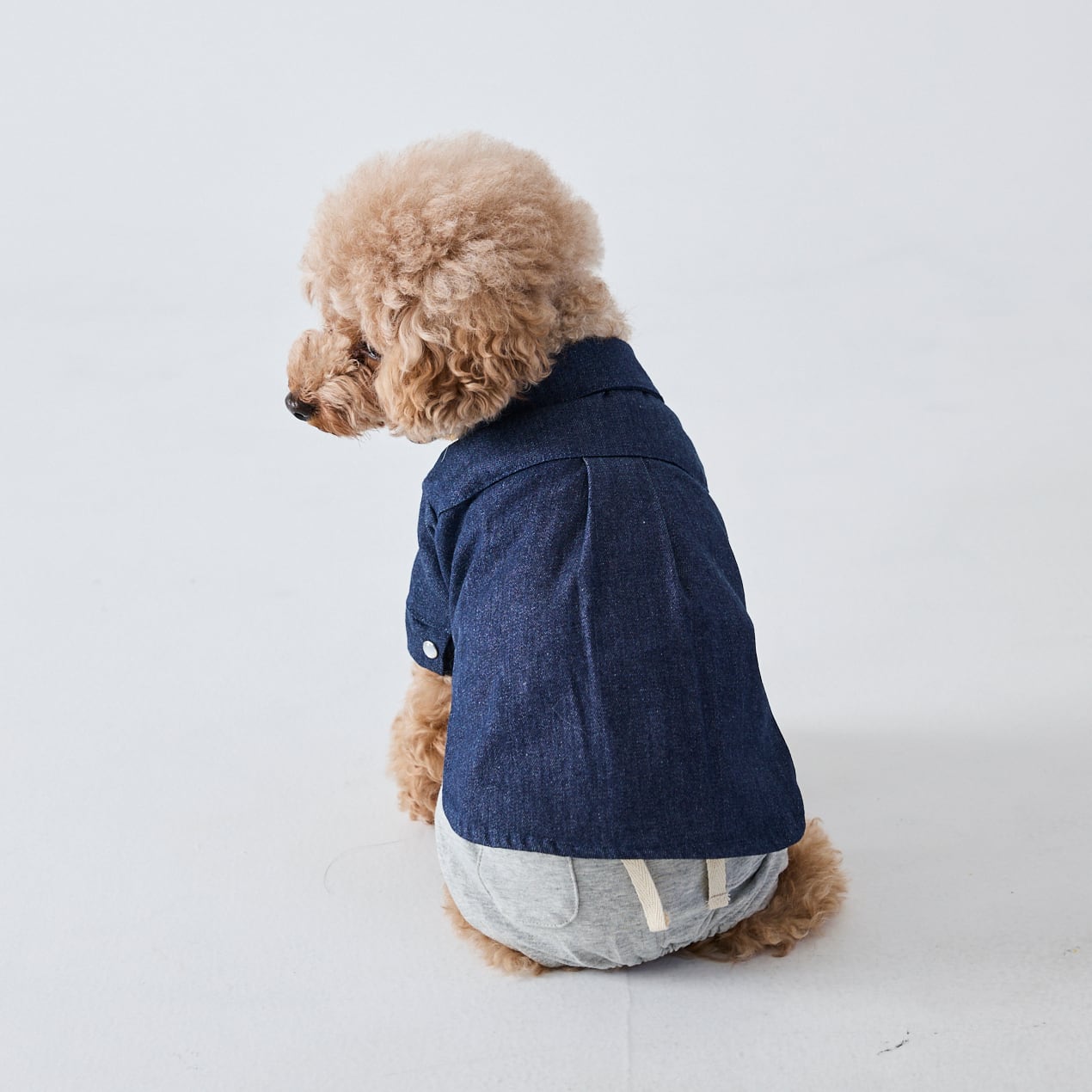 252501］デニムシャツ | 犬服ブランド 2e deuxieme cale | おしゃれな