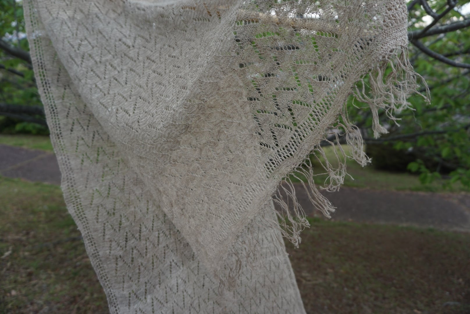 イラクサショール ネトル アロー 50cm nettle ネパール ヒマラヤン