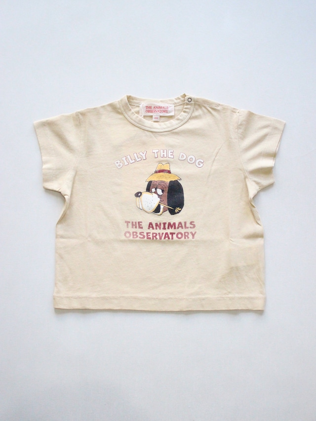 The Animals Observatory ROOSTER BABY T-SHIRT Beige Billy the Dog