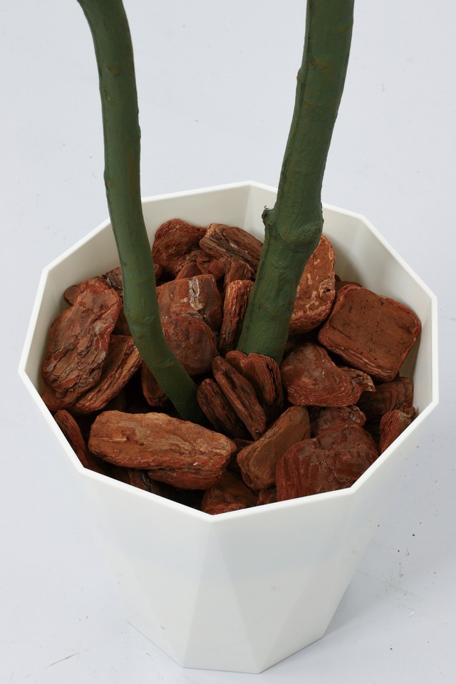 １５０ＣＭケンチャヤシポット　その他　GLPS-1528BKL　4961823434167　造花（アーティフィシャルフラワー） > 観葉植物