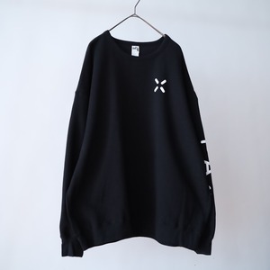 front & sleeve print design sweat pullover