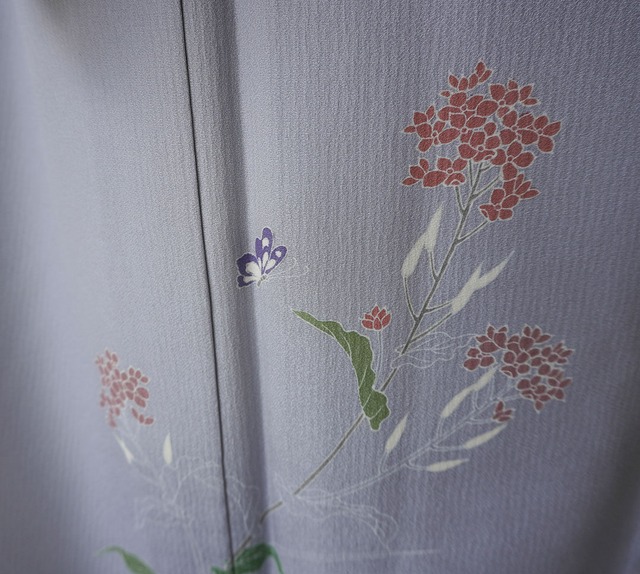 【単衣】薄藤鼠色地　抽象花文に蝶々　単衣 附下