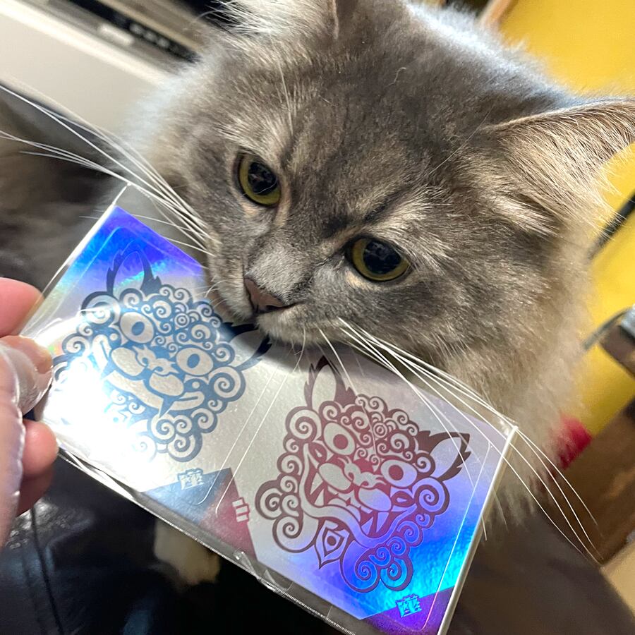 シール　猫シリーズ　キラキラ find-store_ksc-003