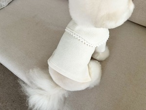 即納【chouchou&chourr】SAILOR WARMER KNIT (IVORY)