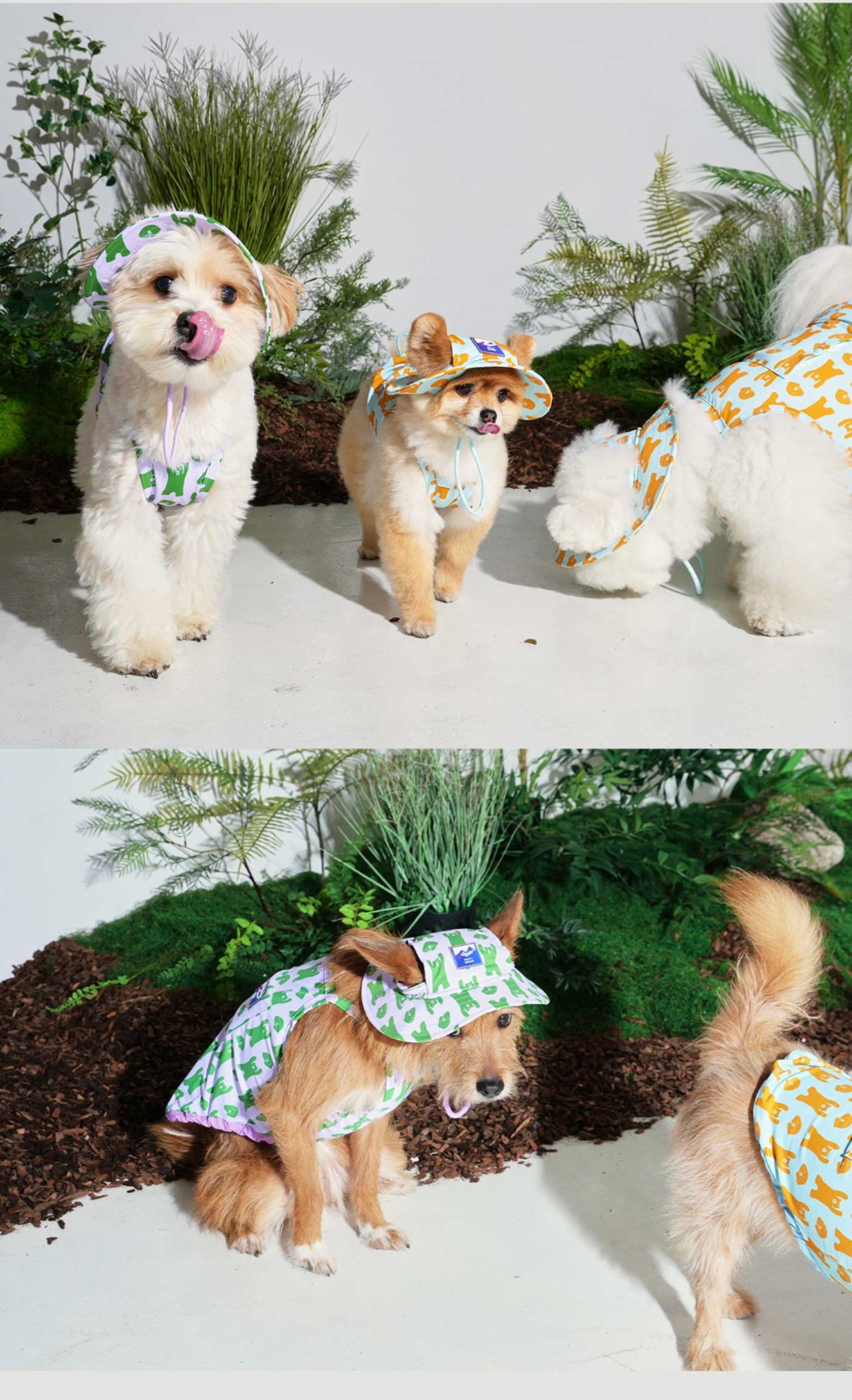 【PUPPYGALLERY公式】Bouncing Bear Tank Top　2XL/3XL