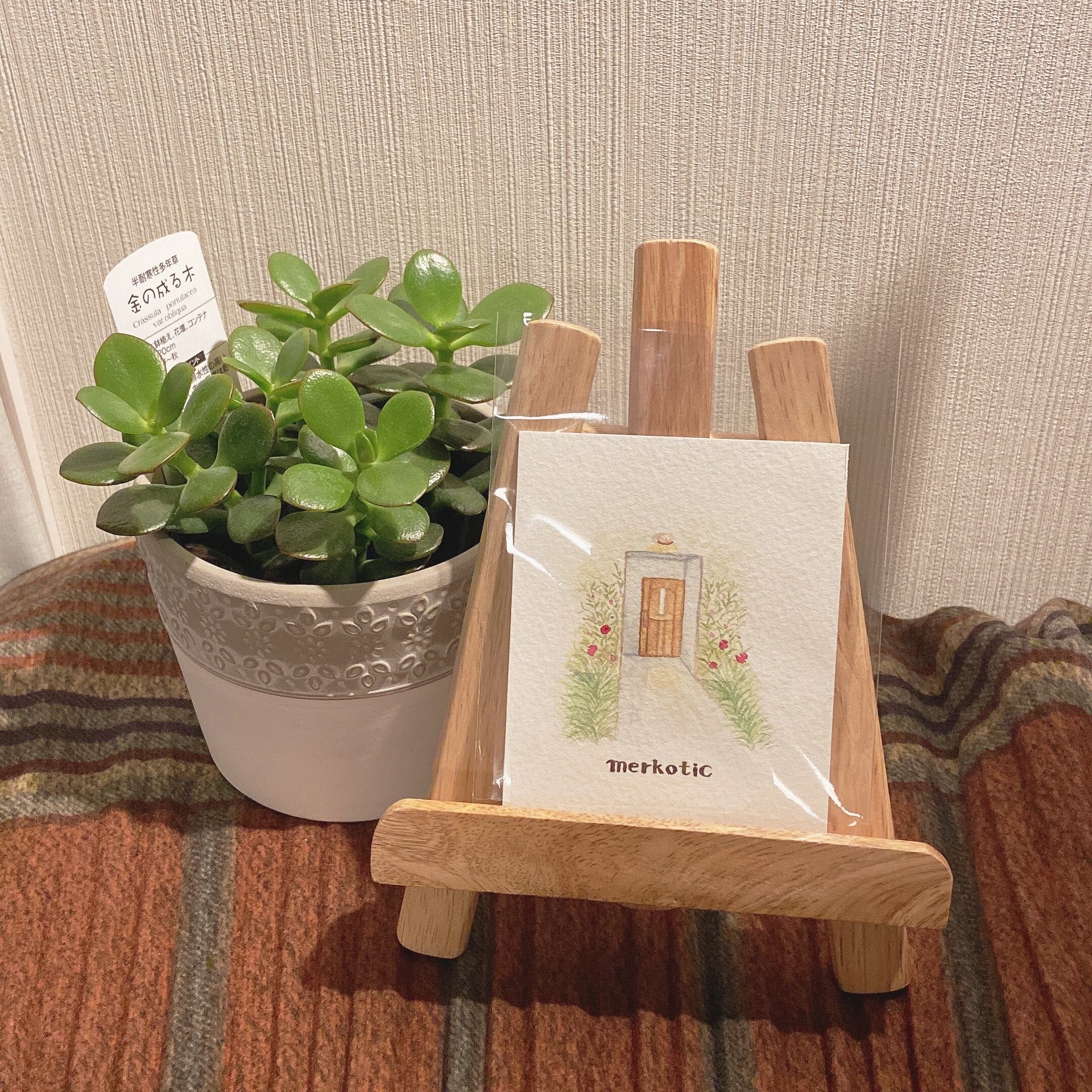 merkotic【2021 Autumn 】