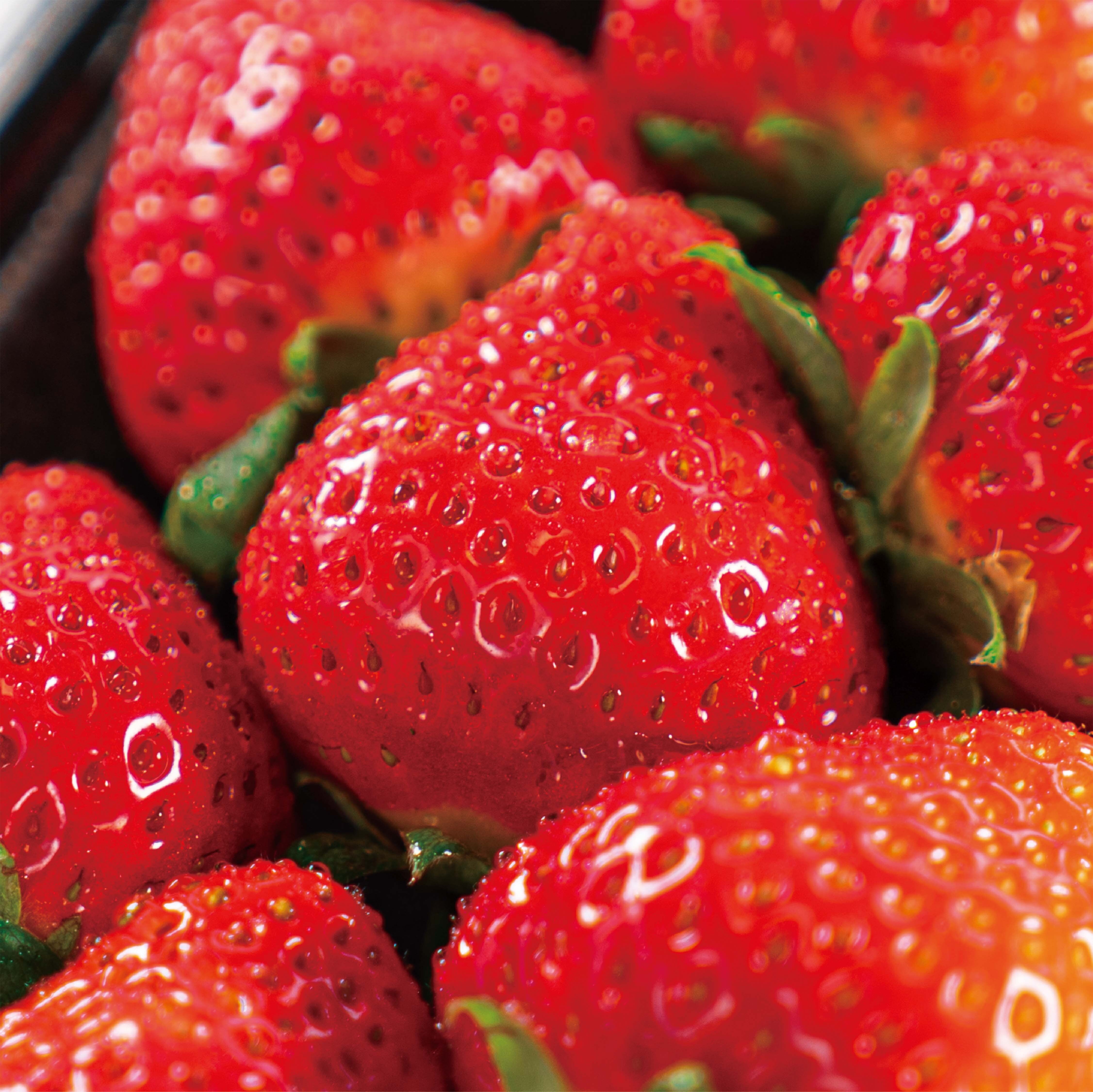 《配送料無料》2箱・恋の国筑後生まれの「恋みのり」セット2パック入り/2箱セット (1トレイ270g)