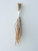 2023 お正月 お飾り ひかり