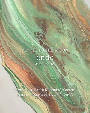 FLY ME TO THE MOON -ende-