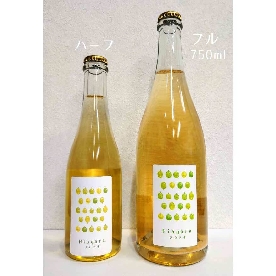 【値下げしました】ナイアガラ 未使用品 絶版 2023_85a8c5a1-27de-48b4-a755-