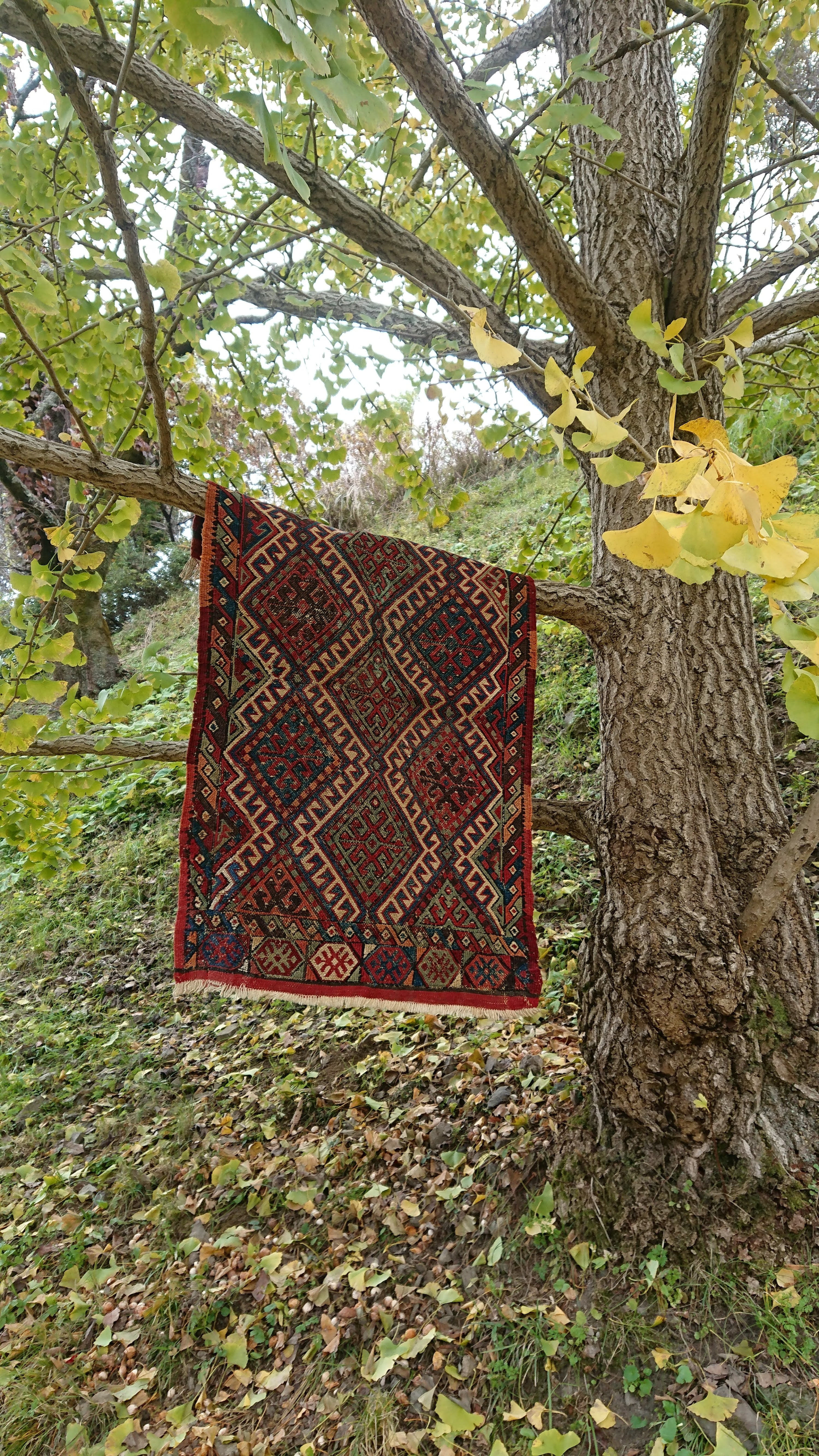 アンティークキリム ヴェルネ | 草木染キリムRugTime
