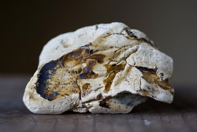 ロイヤルインペリアルジャスパー　Royal Imperial Jasper 18