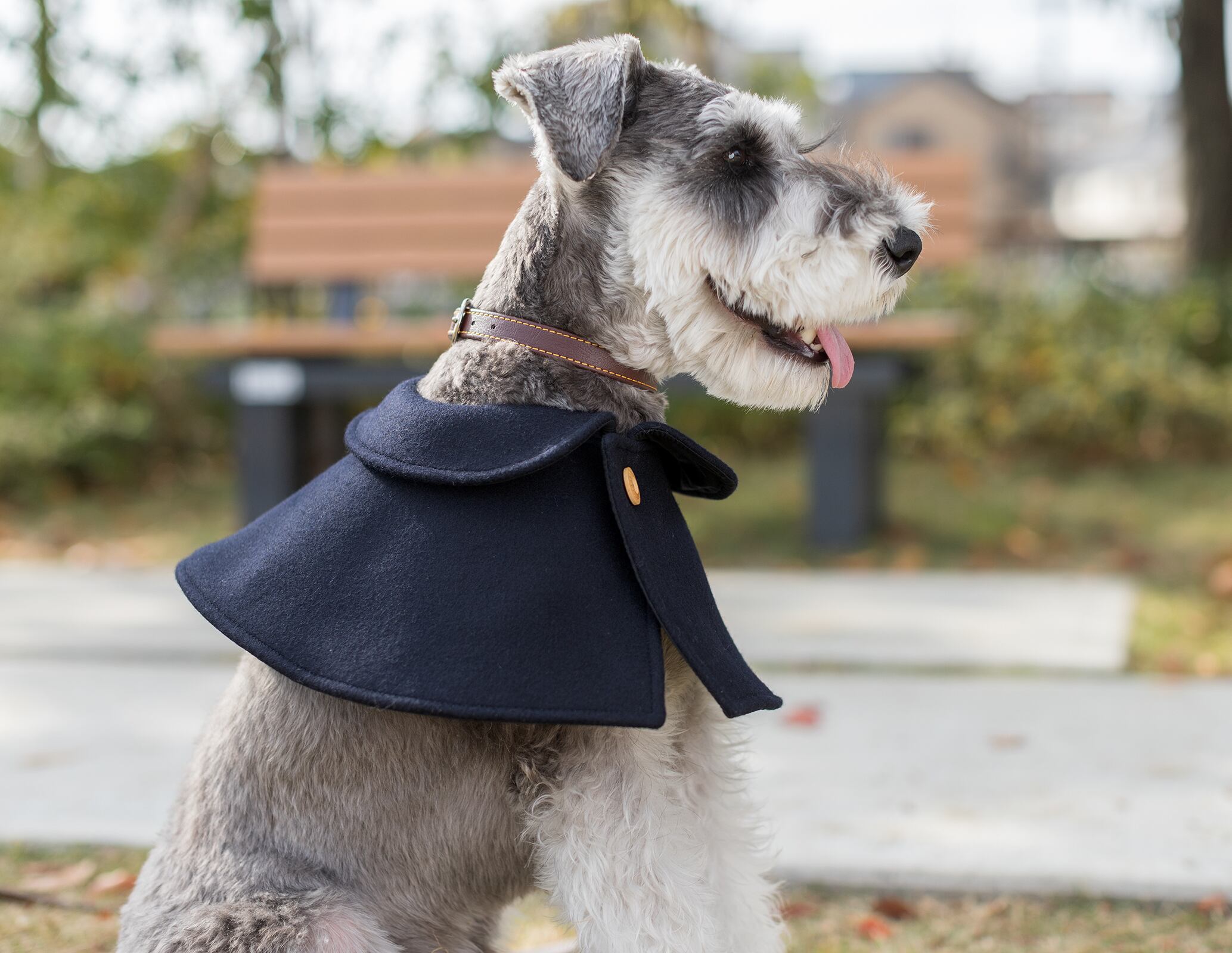 Classic Cape | Be Friends Again