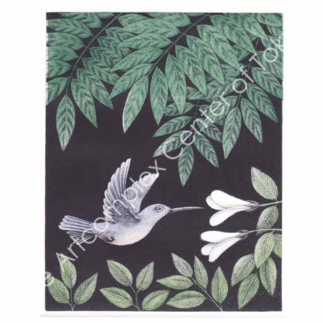 黒田茂樹「Green Spring」