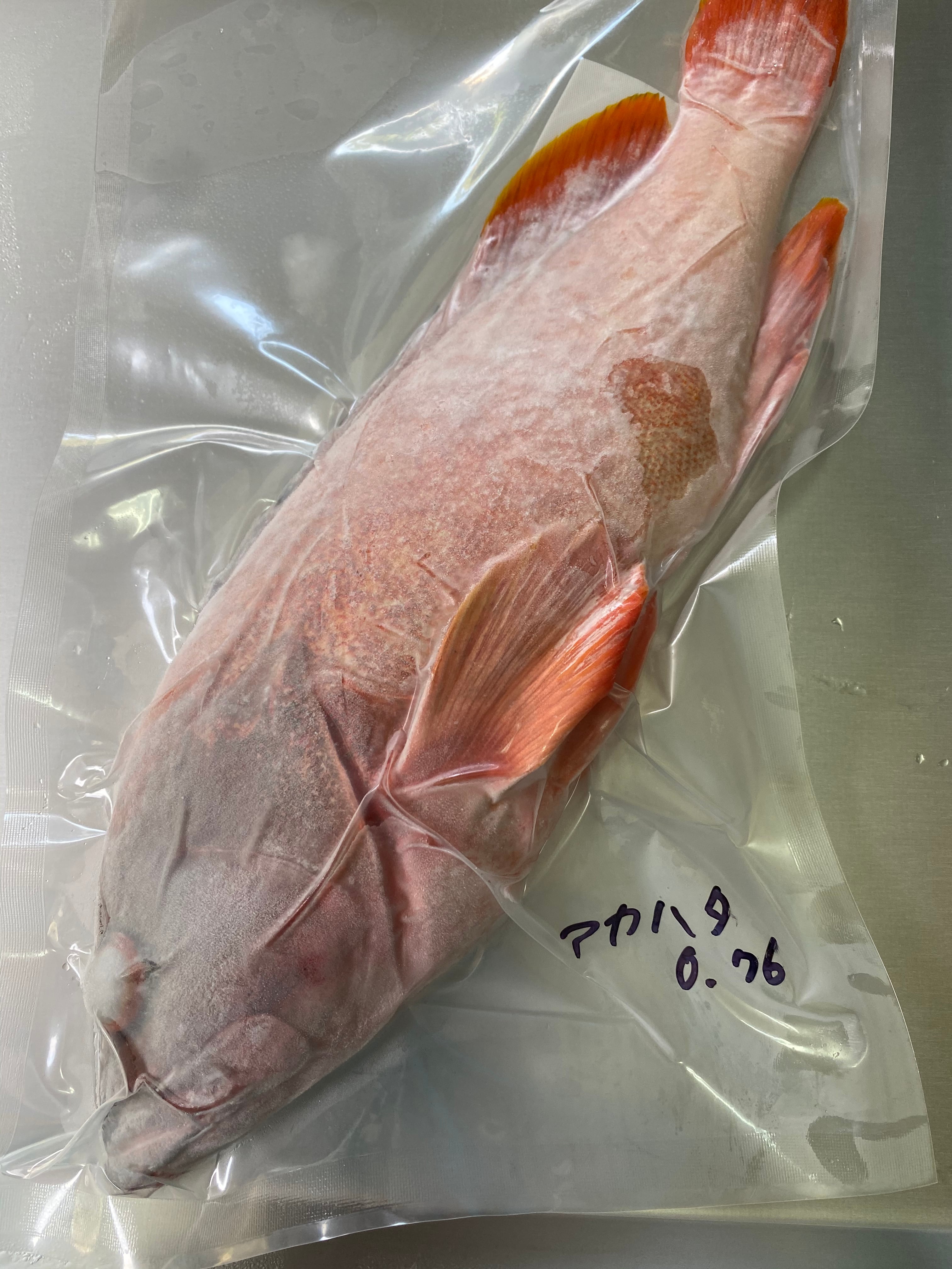 冷凍八丈島唐辛子青、赤混じり500g | カネワ水産｜八丈島 合同会社