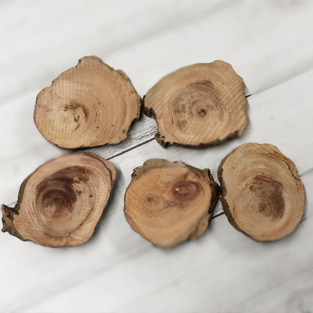 7f230d21febdf3f67e980fc942612b