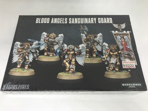 BLOOD ANGELS SANGUINARY GUARD