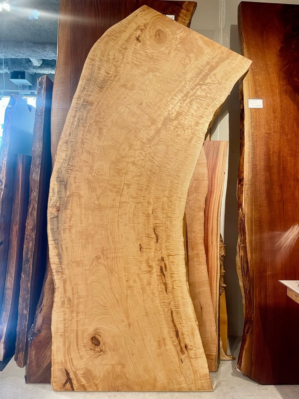 ≪青山店≫白栃（トチ） 全面杢 一枚板 2200×840-910×60 221267 | 千年