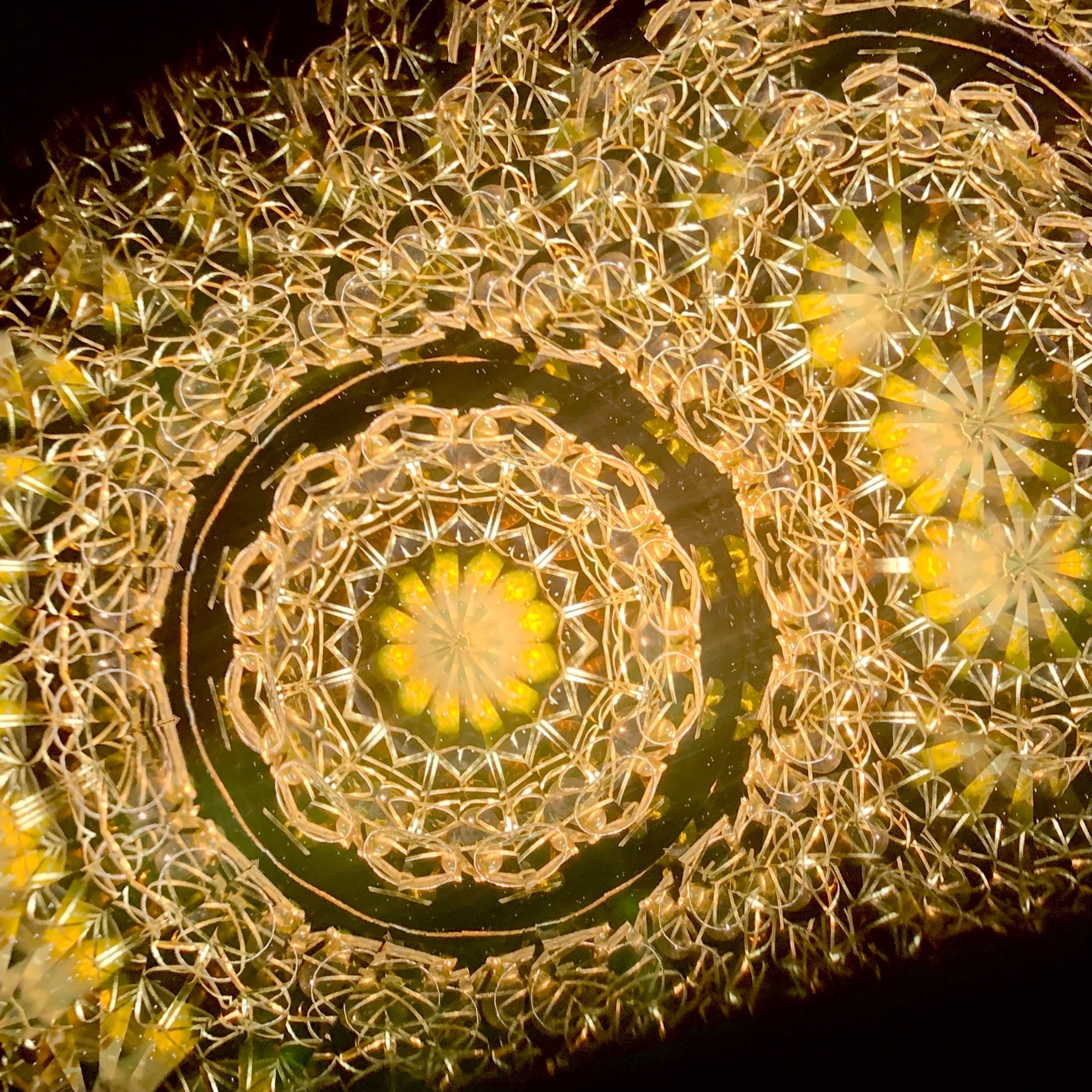 Combo Kaleidoscope 万華鏡 Combo Kaleidoscope 万華鏡