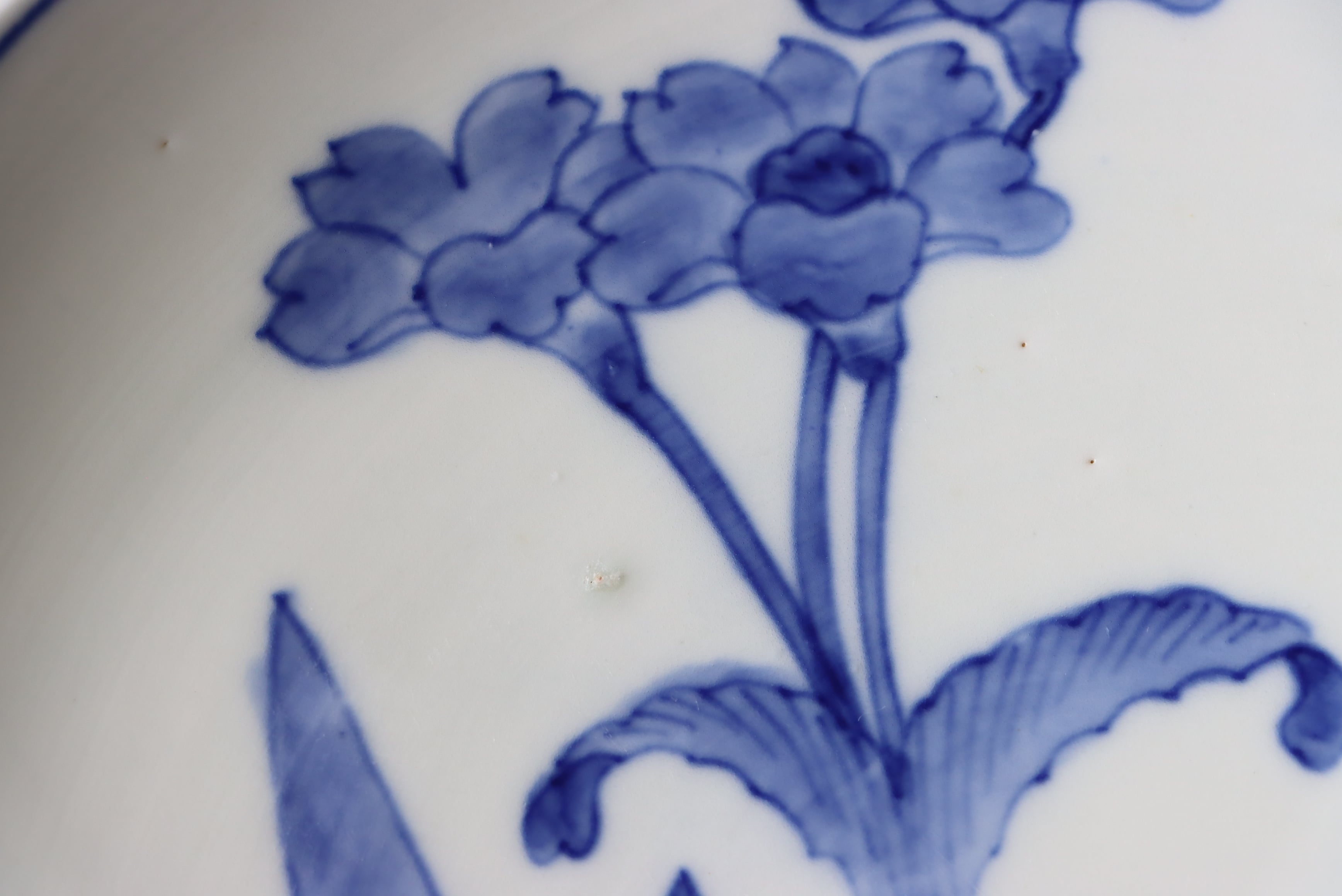 染付 阿蘭陀石竹文 中皿 七寸/Blue and white medium size plate | (有