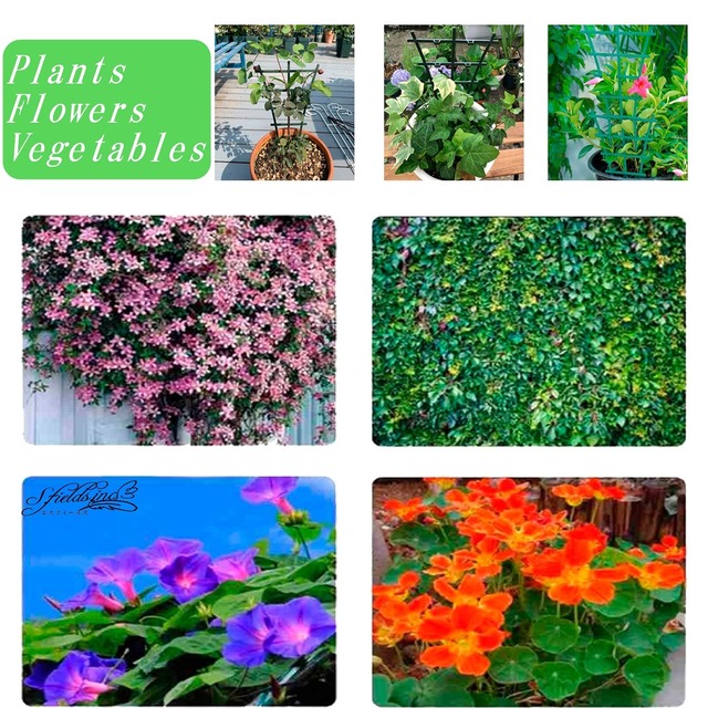 【新春セール】S.fields.inc 植物支柱 植物サポートフレーム 杭 ステーク 園芸支柱 花ささえ ミニトレリス 4個セット