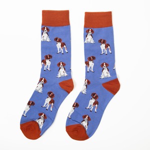 Cavalier socks キャバリア ソックス