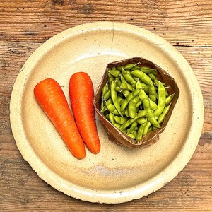 VEGETABLE WONDERLAND SET（Mセット/月1回コース）