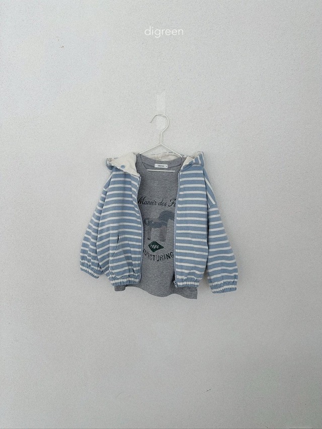 〘予約〙digreen / maiden T