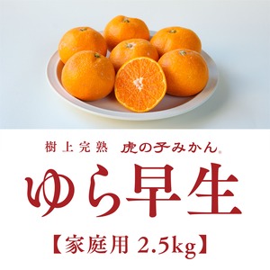 「虎の子みかん」ゆら早生/家庭用2.5kg