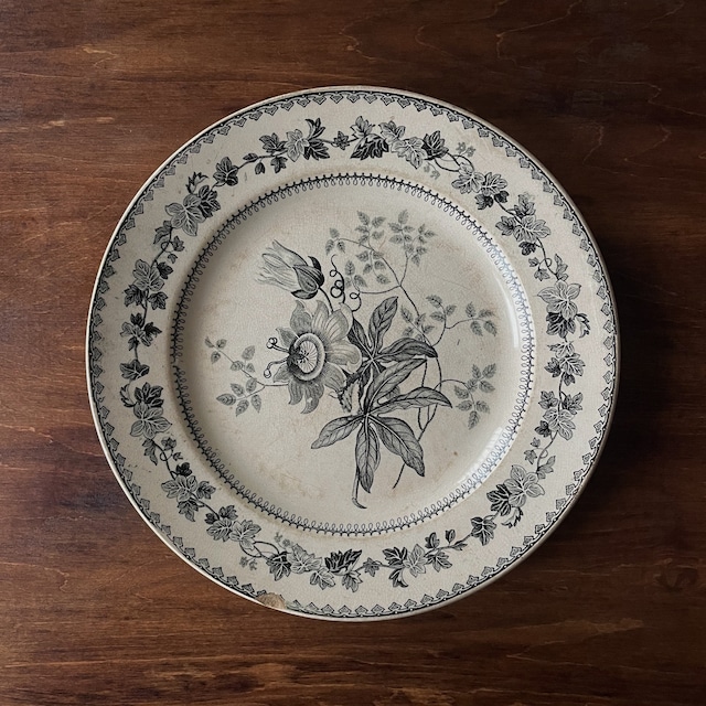 Creil et Montereau グリザイユ皿 トケイソウ ｜France 1880-1910