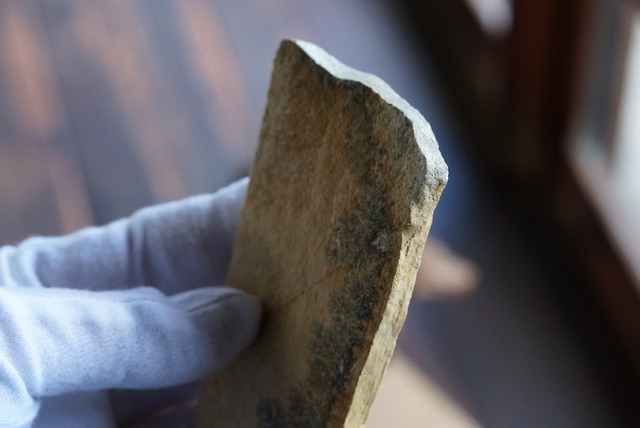 デンドライト 忍石 Dendritic limestone ⑤