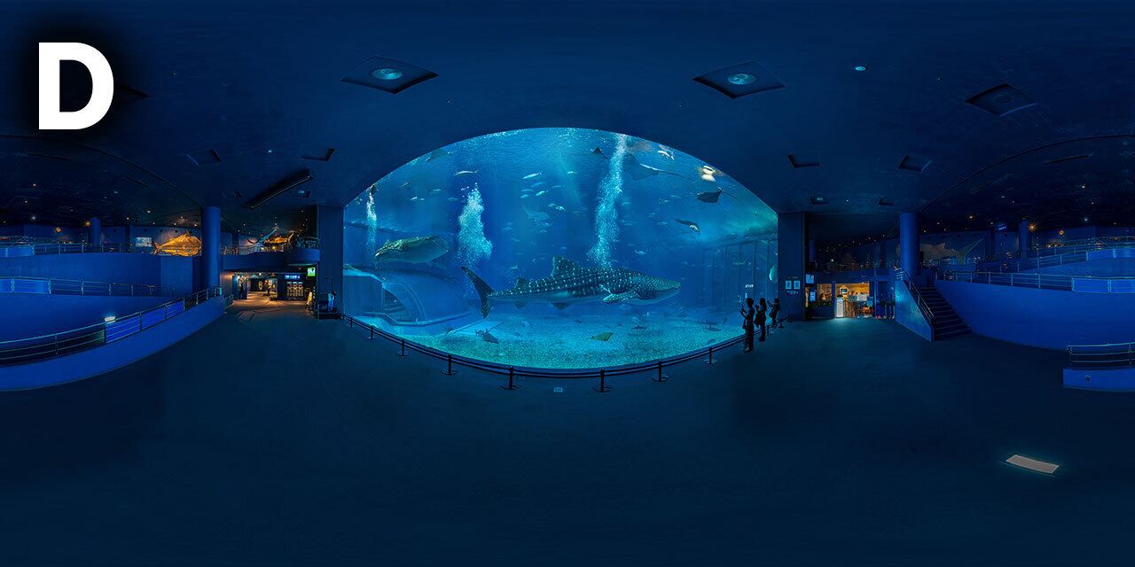 7f34a14b81657e5f268a59d448c007