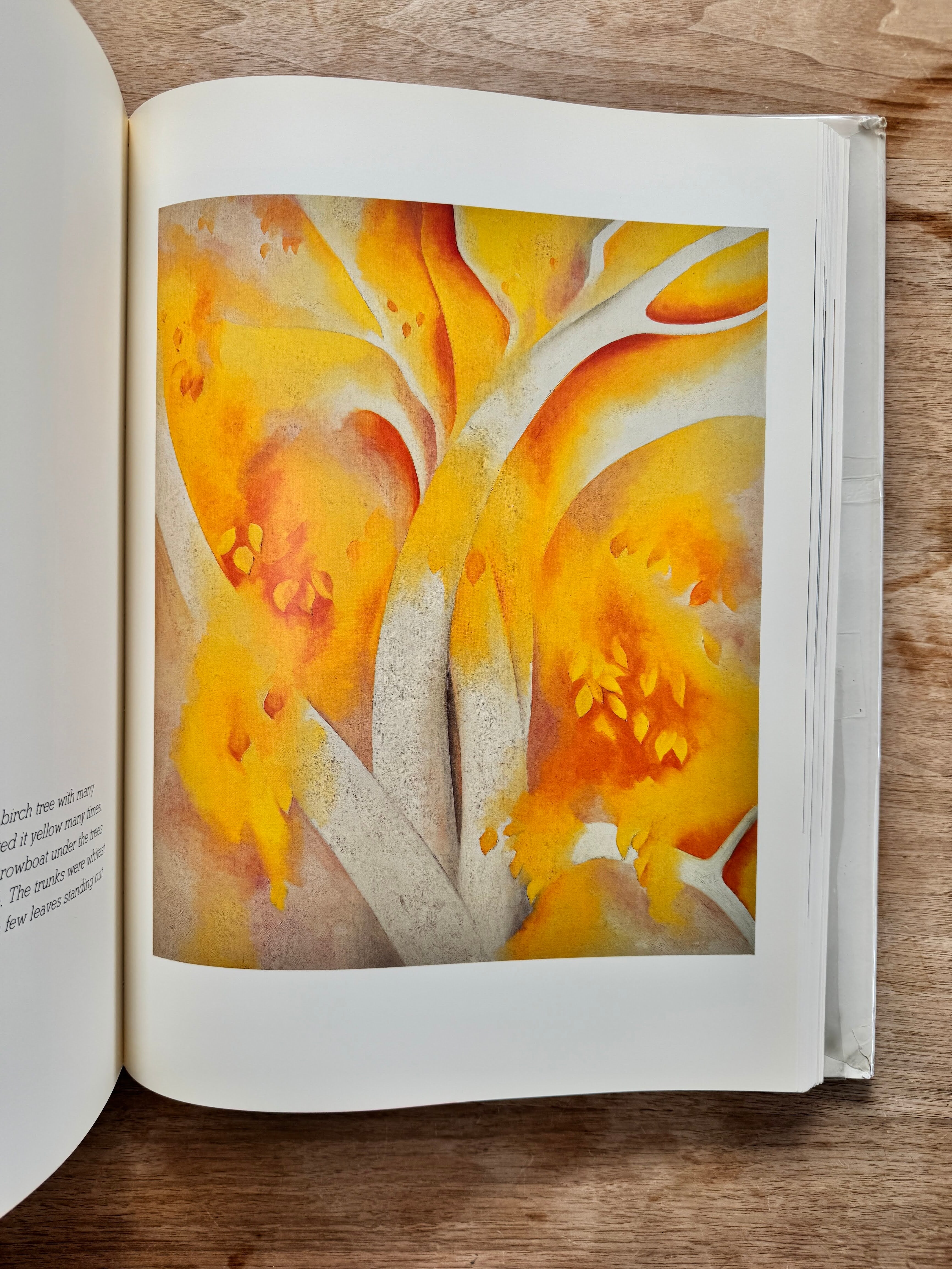 Georgia O'Keeffe （The Viking Press） | NF ARTBOOKS & OBJECTS