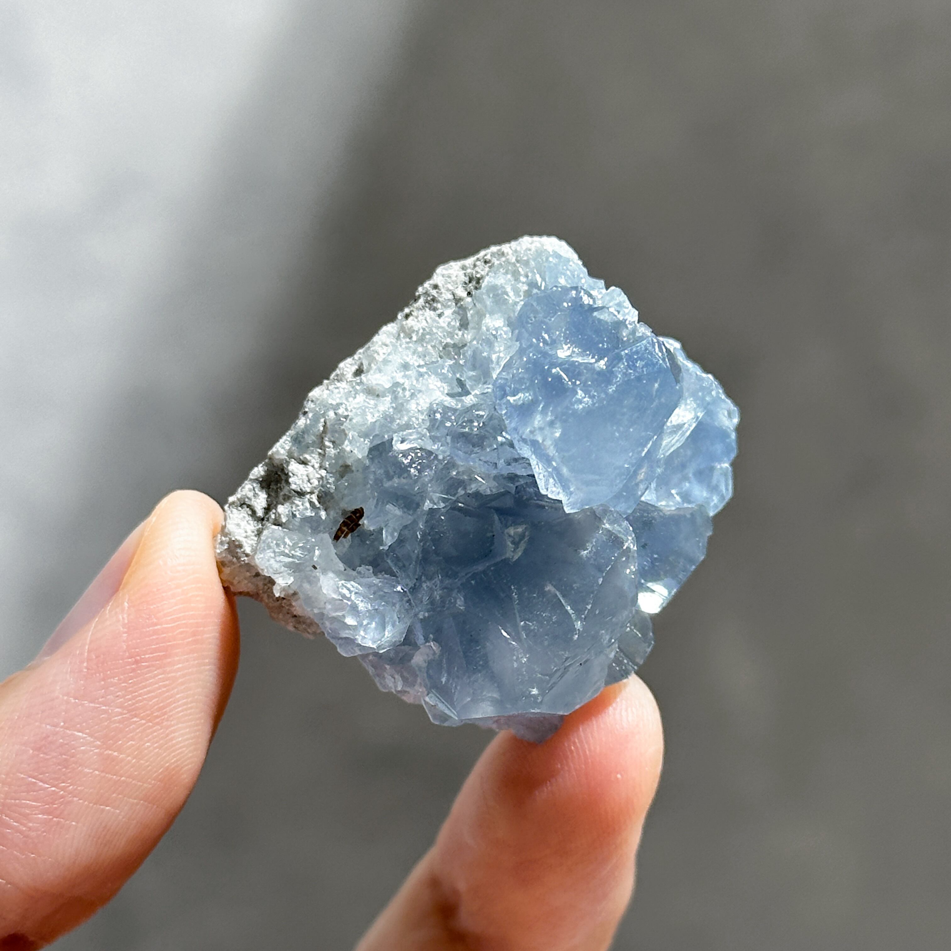 セレスタイト 原石 03◇ Celestite ◇天然石・鉱物・パワーストーン