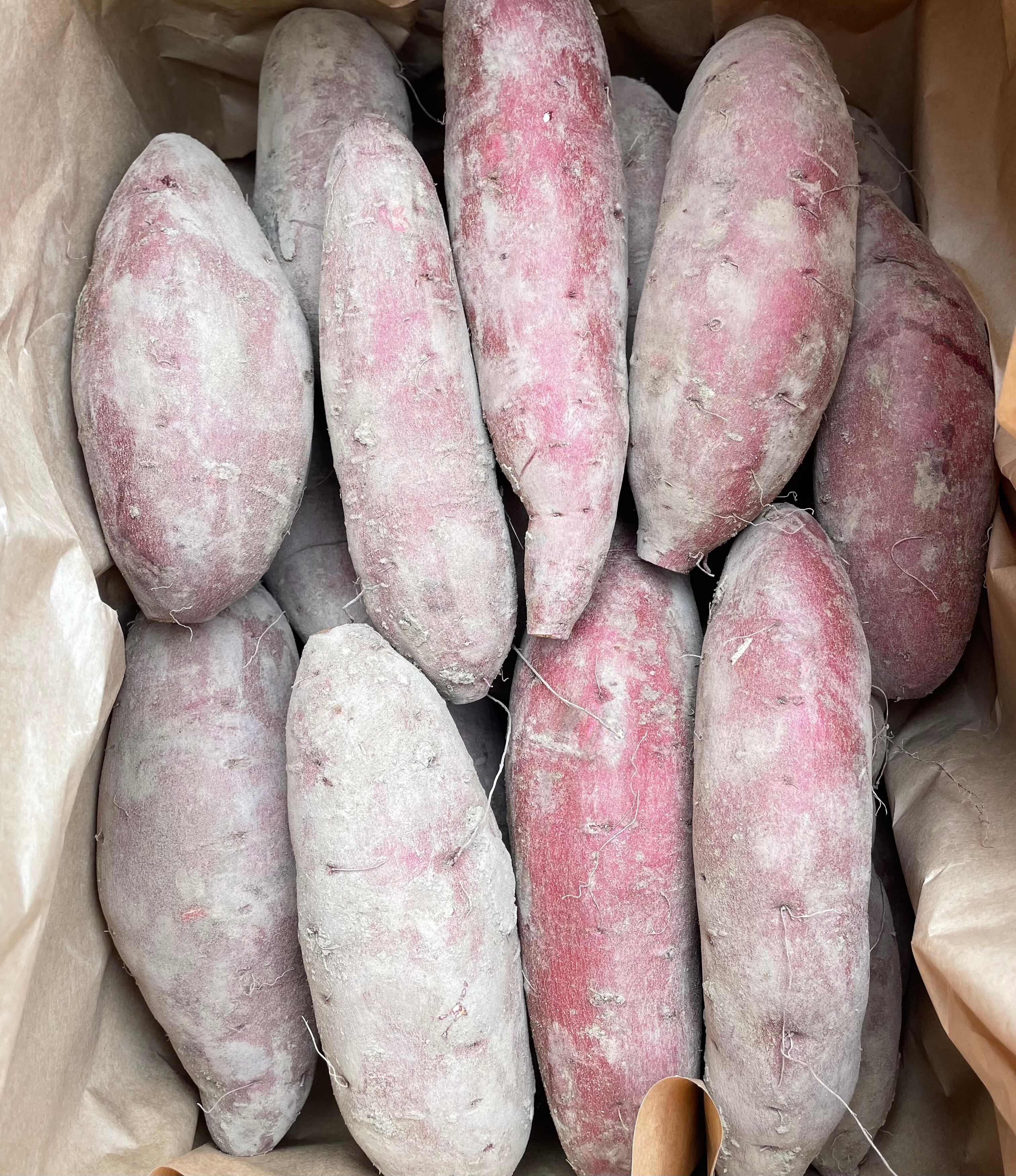 熟成紅はるか「10kg」 | すえづる農園