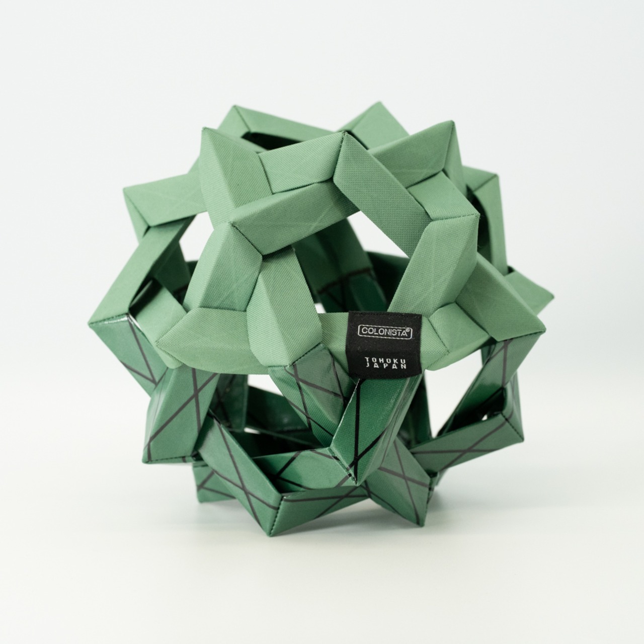 OMAN10　Evergreen（エバーグリーン）　プレート付