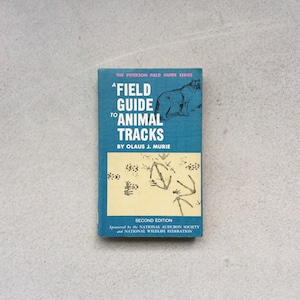 A Field Guide to Animal Tracks