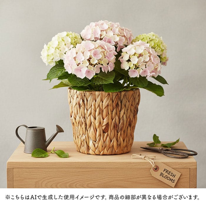 絵付き　ボタニカル　大型植木鉢カバー 直径23.5ｃｍ　高さ20ｃｍ　鳥　オウム 鉢カバー 5号 通販 アミアミポット5号 植木鉢カバー プランターカバー