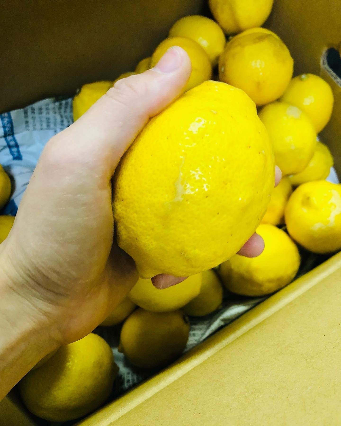 ウィークエンドシトロン