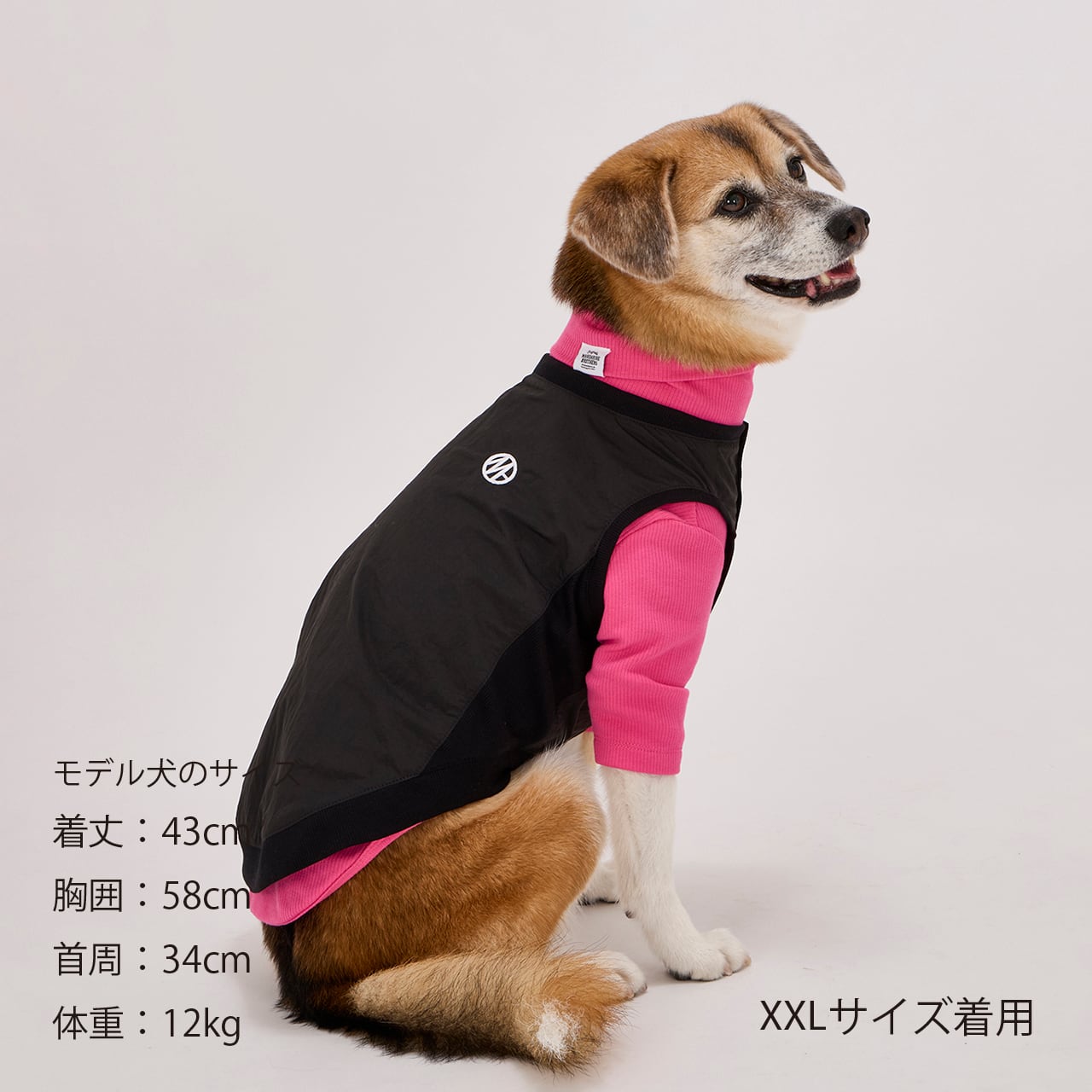PISTE（XL.XXL） ピステ | MANDARINE BROTHERS マンダリンブラザーズ