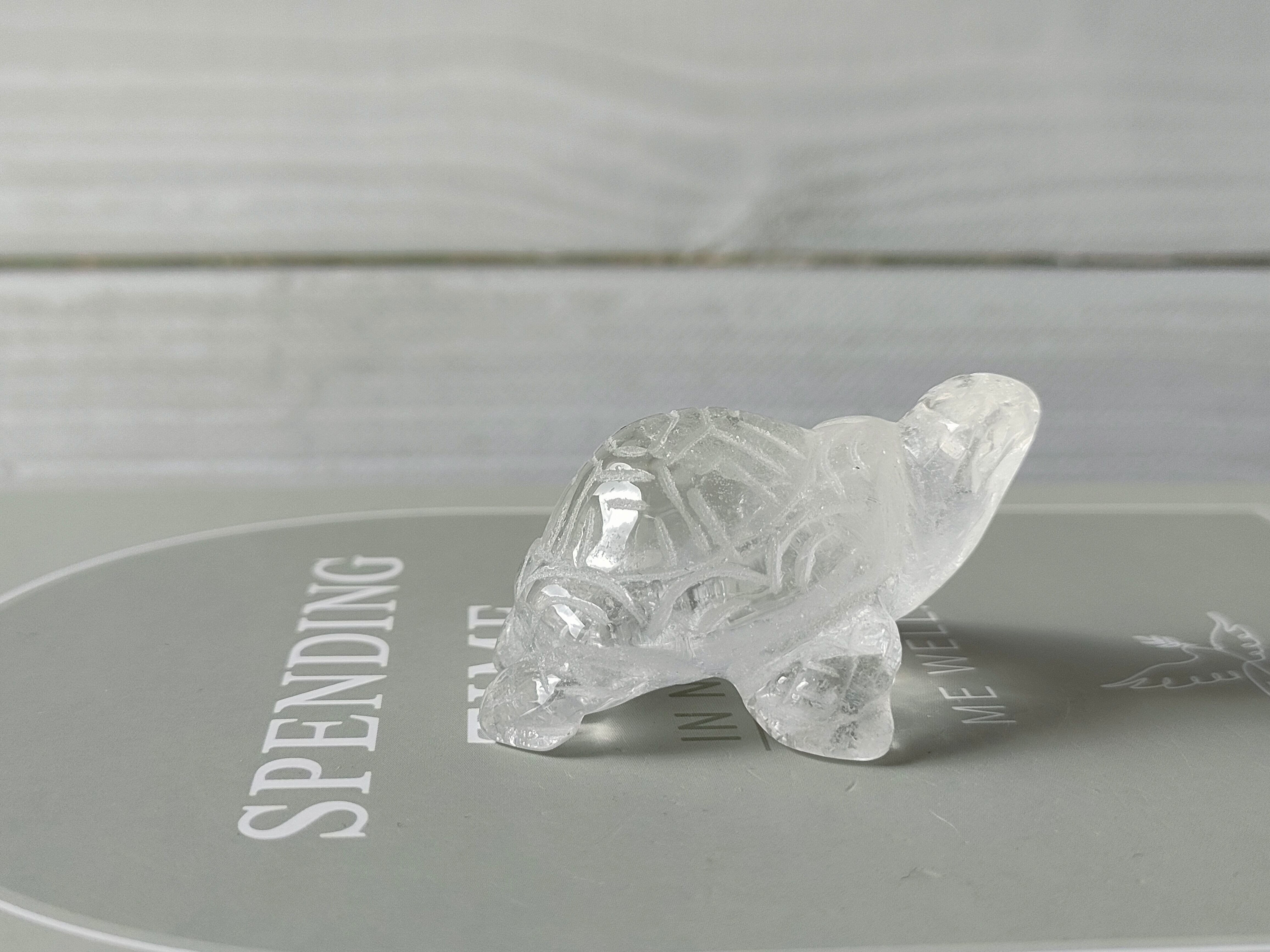 クォーツ かめさん