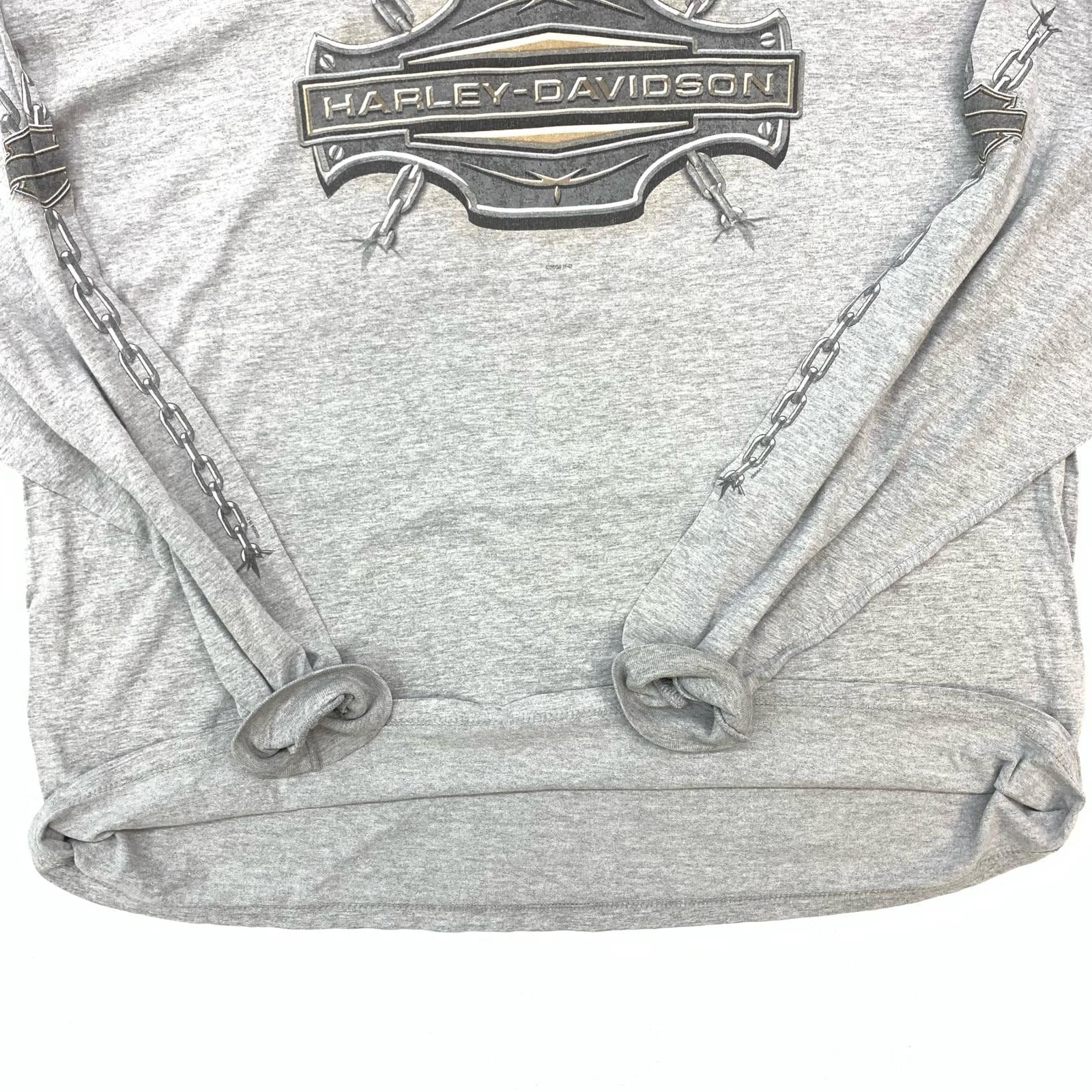 HARLEY-DAVIDSON ハーレーダビットソン 長袖Tシャツ 00年代 BIG BOAR