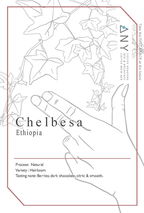 [100g] Chelbesa, Ethiopia  / チェルベサ、エチオピア