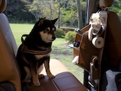 Kerait 国産10号帆布 車内用3段シューズラック