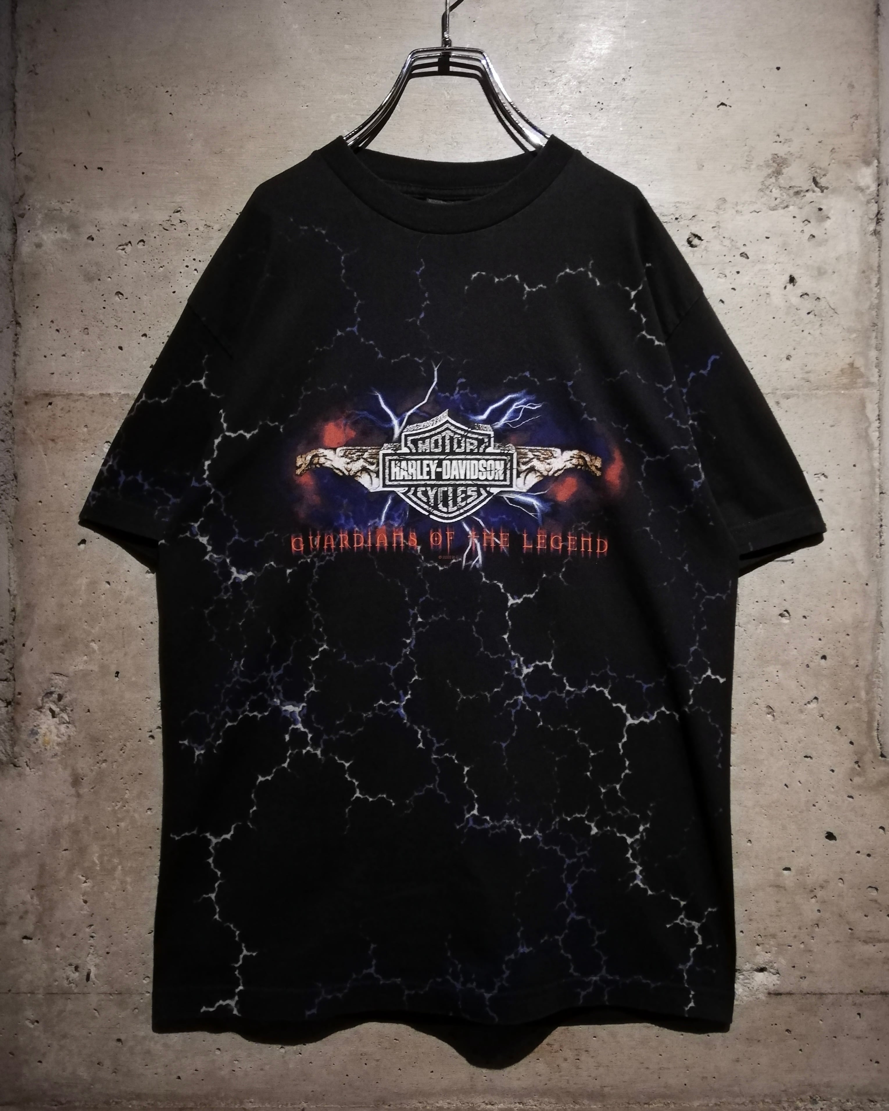 00s harley davidson thunder ボロ　ロンT 00s harley davidson thunder ボロ ロンT Caka】